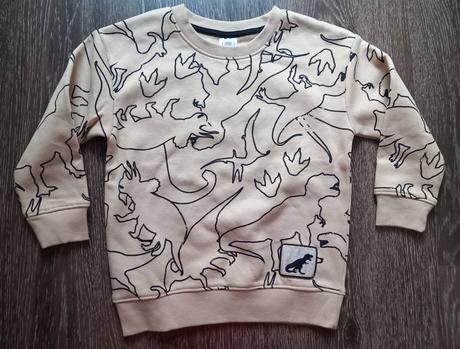 Dino mikinka, pepco,104