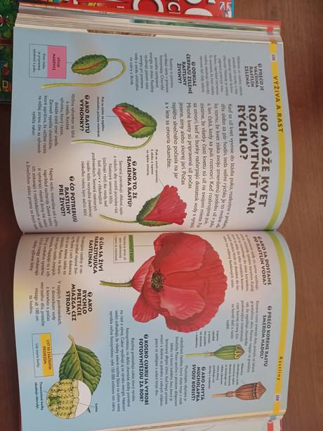 Najväčšia kniha otázok a odpovedí, 