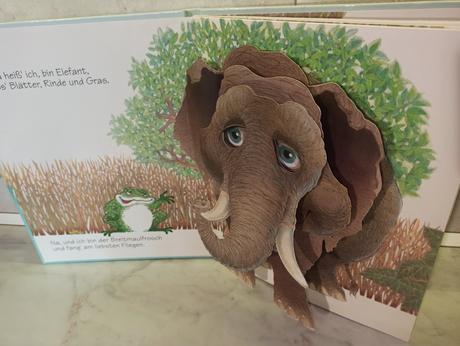 Fliegen fress ich fur mein leben gern,