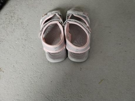 Sandalky kangaros, kangaroos,30