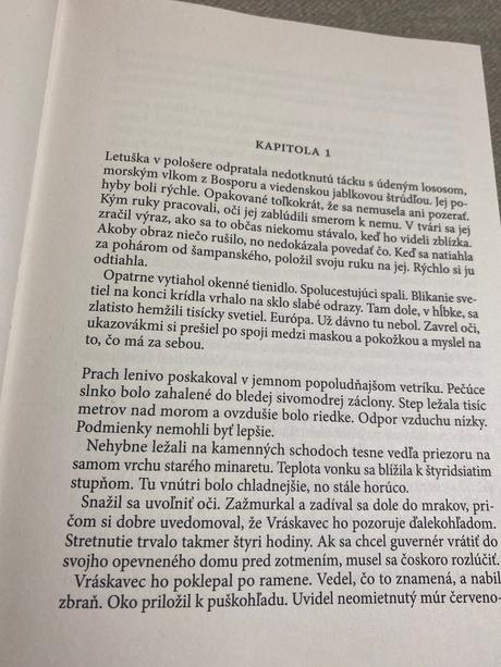 Napínavá kniha viedenské bratstvo ingar johnsrud, 