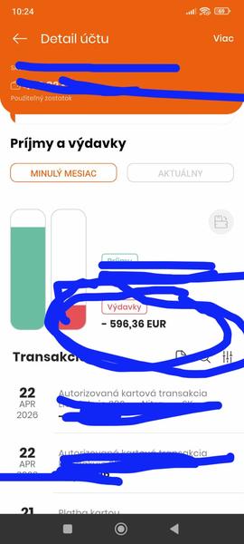 Vojdete sa s mesačným rozpočtom do 600 €?