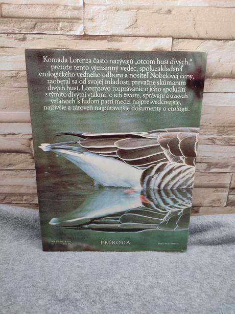 Rok husi divej - konrad lorenz, 