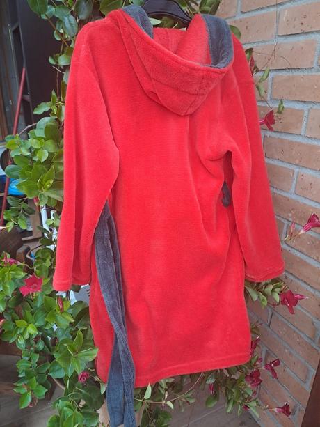 Župan mcqeen, disney,140