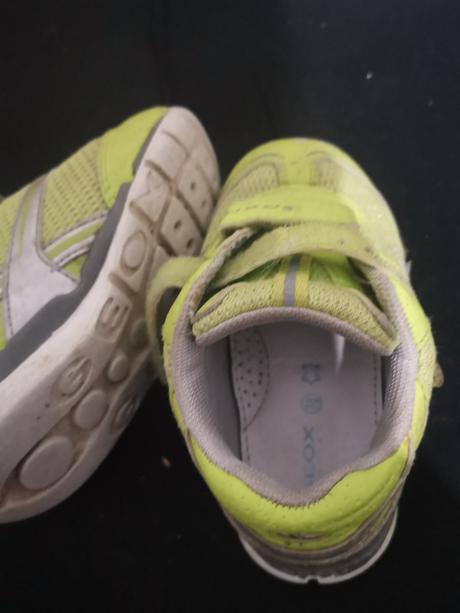 Tenisky geox na dvor, geox,24