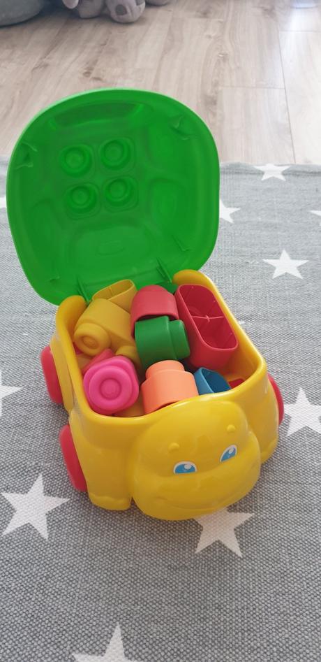 Korytnacka clementoni, 