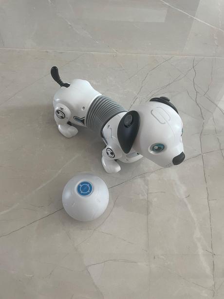 Interaktivne steniatko, 