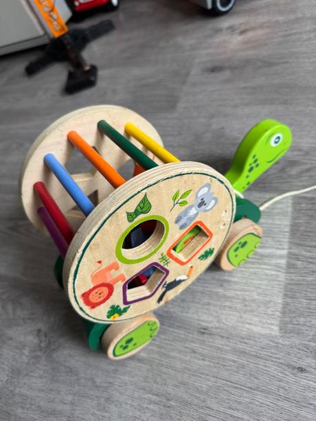 Korytnačka na ťahanie,