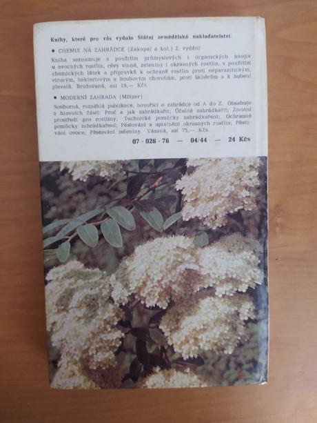 Stále zelené, opadavé a popínavé dreviny našich zá, 