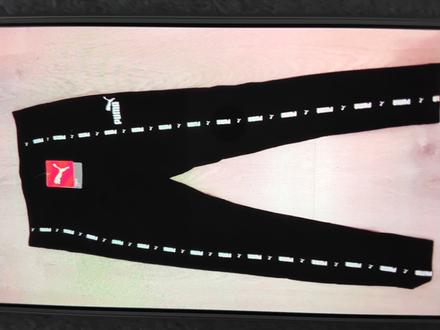 Leginy puma s velkost, puma,s