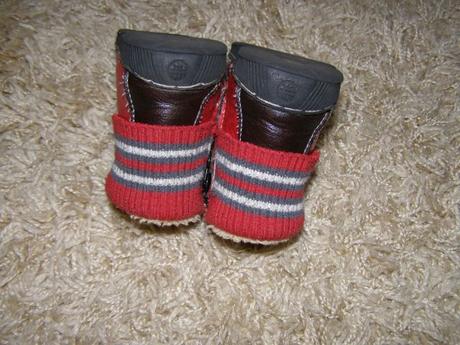 Prechodné čižmičky , 19