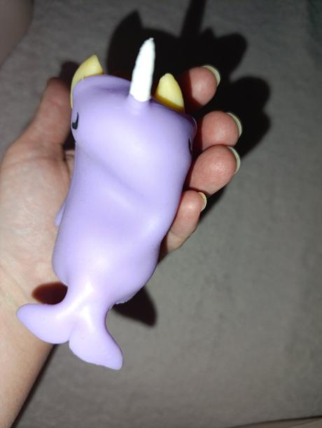 Čivava v oblečení,