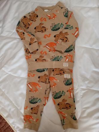 Teplakova suprava, coccodrillo,80