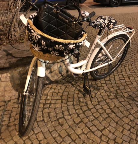 Bicykel dàmsky, 28