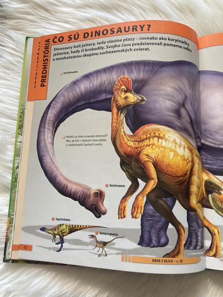 Dinosaury encyklopédia pre deti vo veku 7-10 rokov,
