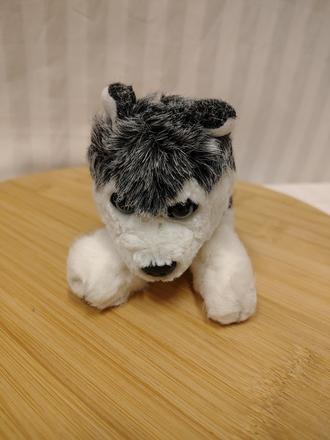 Plyšový sivo biely pes husky, 18 cm, 