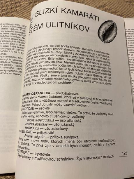 Život v schránke mikuláš j. lisický slimáky ulity, 