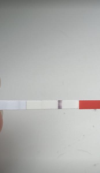 Mešká mi menštruácia. Je možná gravidita?