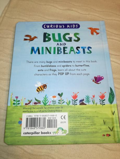 Curious kids pop ups bugs & minibeasts nau20, 