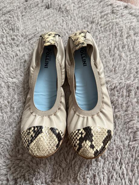 Baleriny pollini, 38