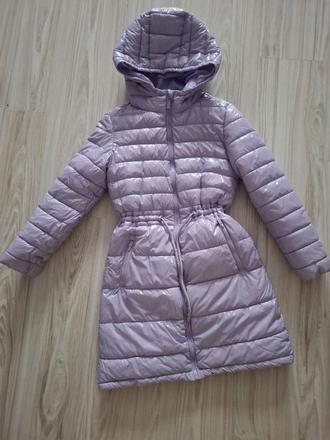 Krásna lesklá bunda, reserved,134