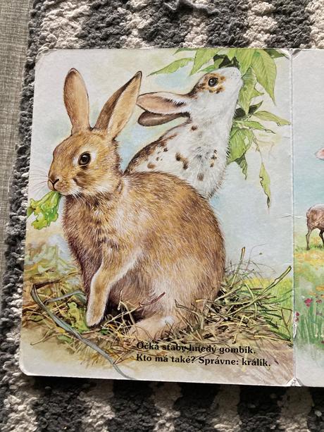 Moje najmilšie zvieratká na dvore (leporelo),