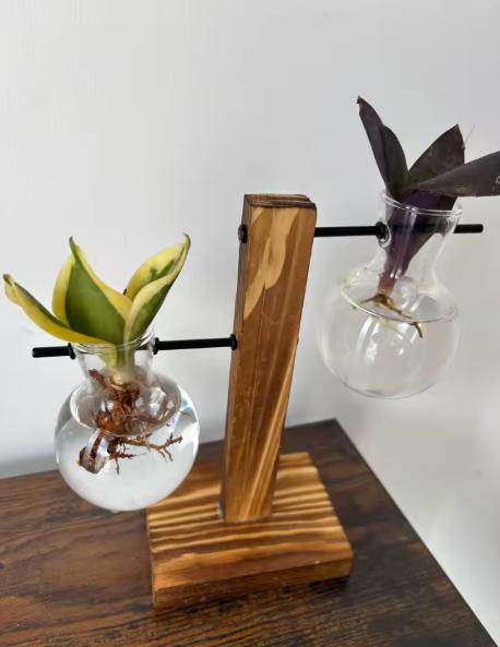 Kreatívna hydroponická váza s dreveným rámom,
