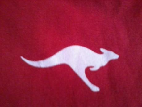 Dievčenská mikina kanga roos / 158, 158