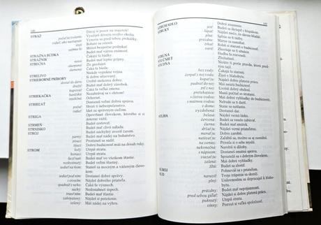 Kniha snár, r. 1990, ela brentová,