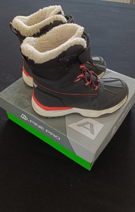 Alpine pro, alpine pro,29