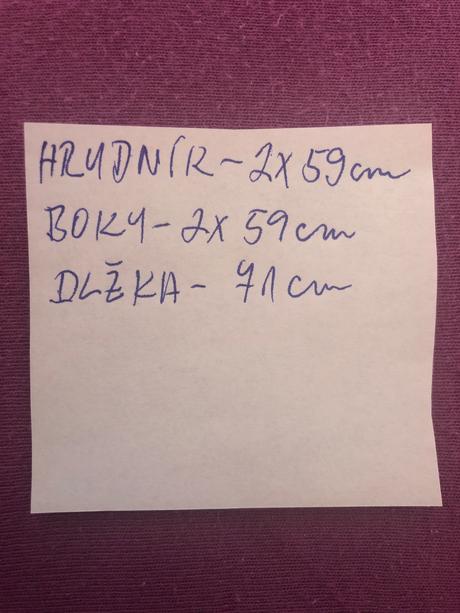 Pánska polokošeľa, l