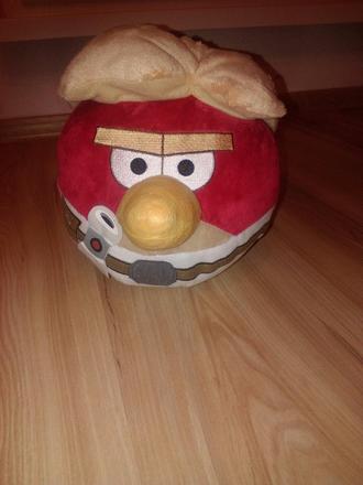 Angry birds,