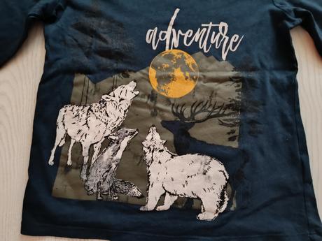 Tričko s vlkmi, pepco,134