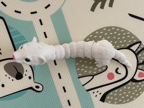 Pohyblivá fretka / hranostaj, 