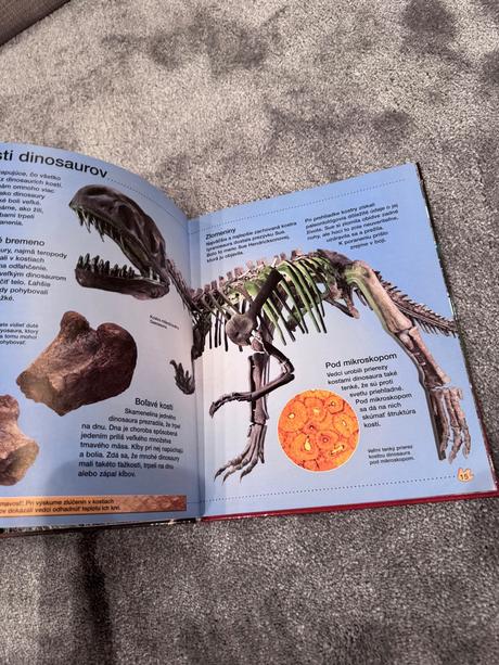 Kniha objavujte s nami dinosaury, 