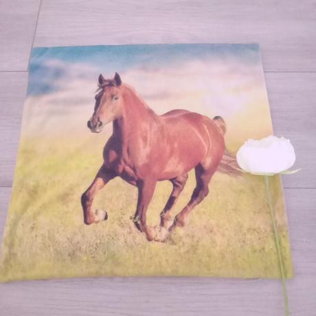 Návliečka na vankúš, šírka (cm): 40,dĺžka (cm): 40