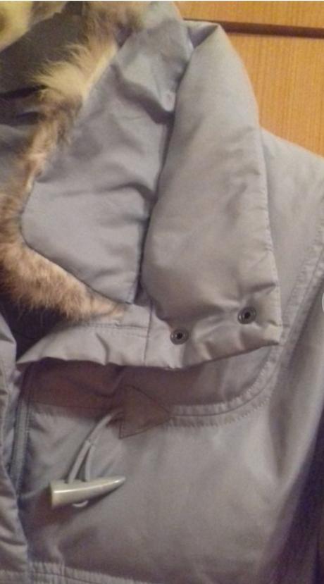 Zimná  bunda, 38