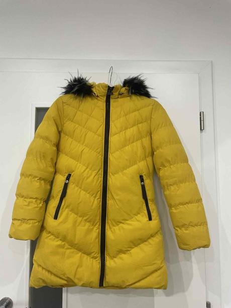 Vetrovka zimná horčicova, 152