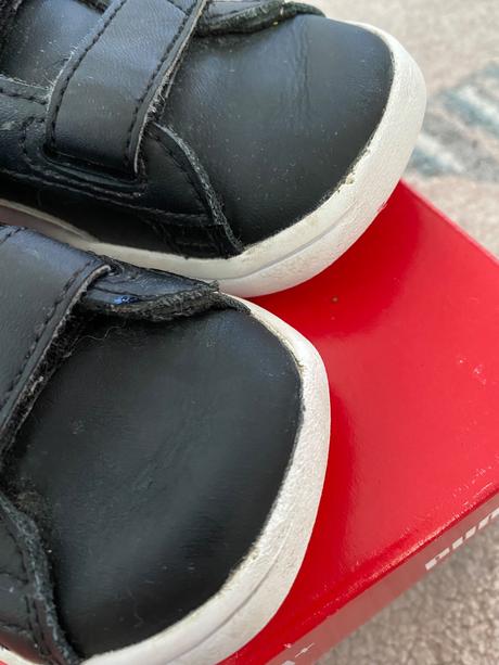 Botasky puma, puma,24