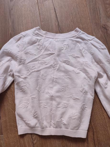 Bledoružový svetrík (veľkosť 110/116), tchibo,110