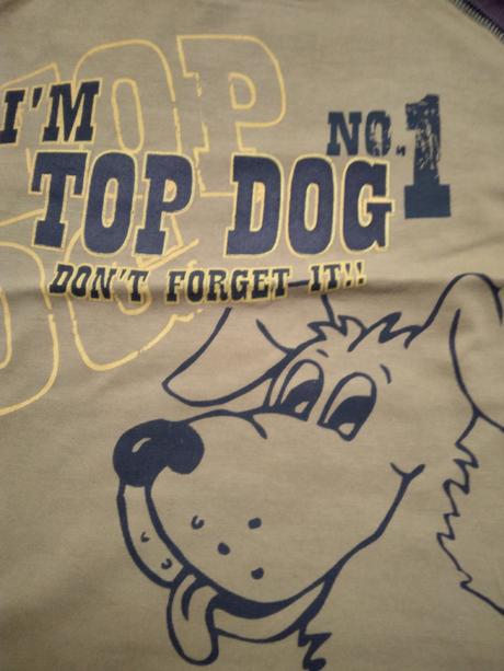 Tričko so psíkom, 110