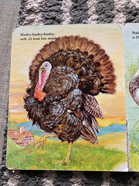 Moje najmilšie zvieratká na dvore (leporelo),