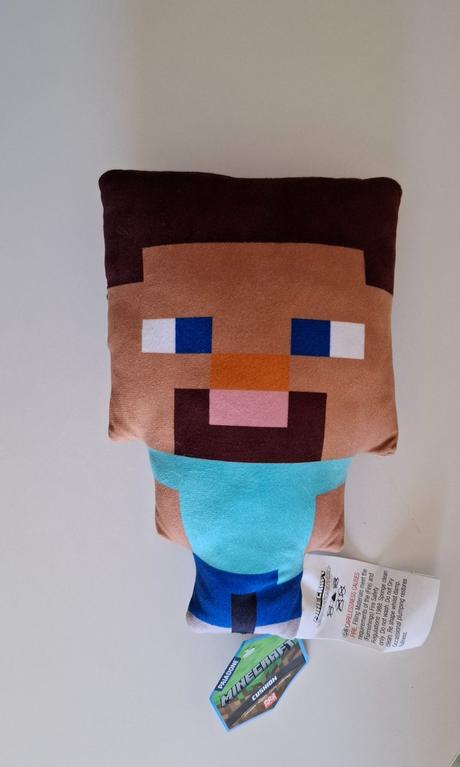 Minecraft steve,