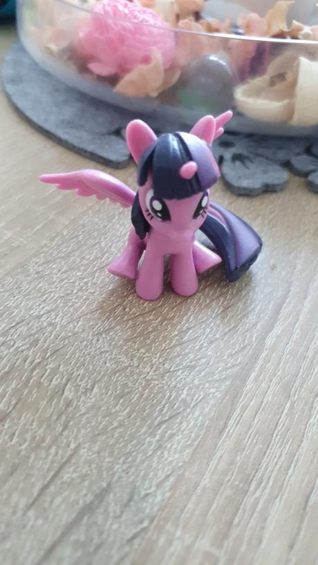 Mlp male poniky, 