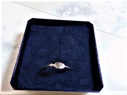 Jemný strieborný prsteň, 