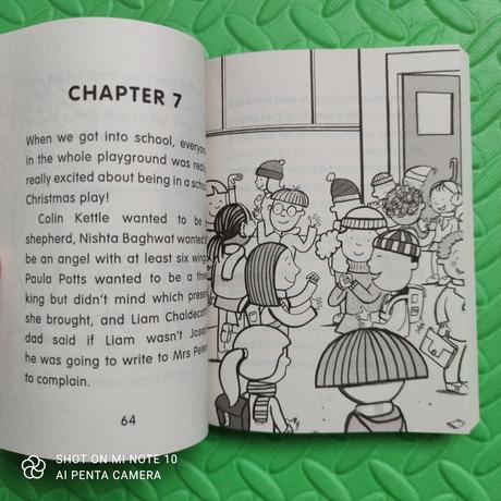 Daisy and the trouble with christmas,