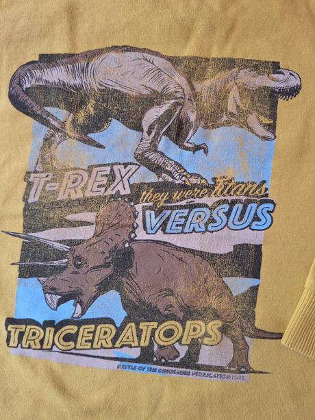 Tričko next 4 roky, next,104