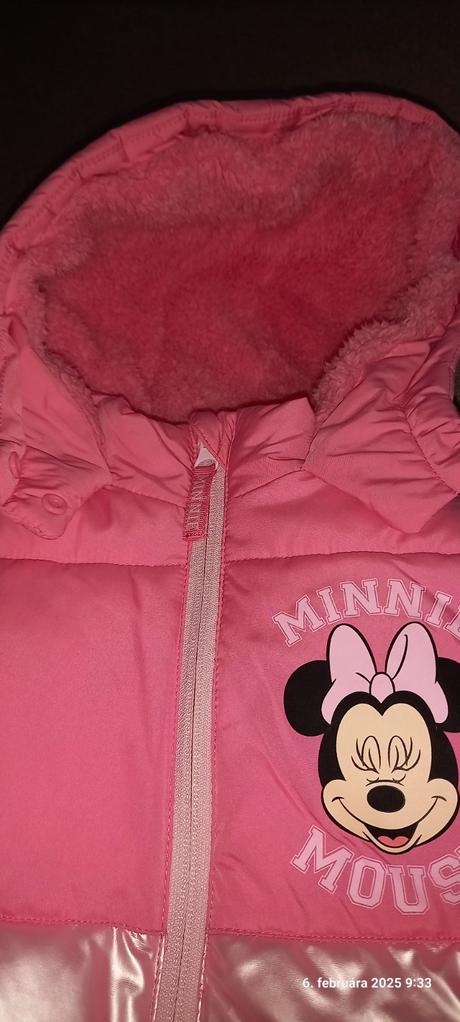Bundicka minnie, disney,110