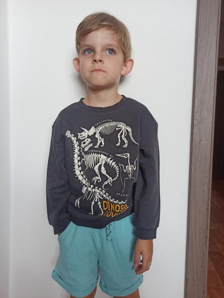 Mikina a tričká dino 110/116, h&m,110