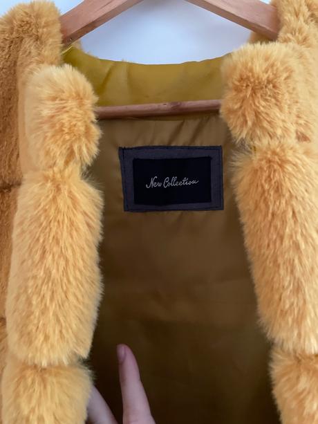 Kozusinova vesta, 38 / m